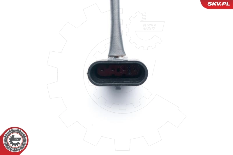 Oxygen Sensor